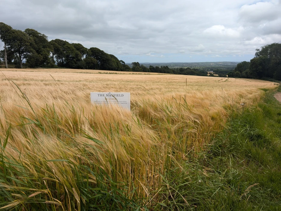 The art and rarity of Single Estate Whiskey