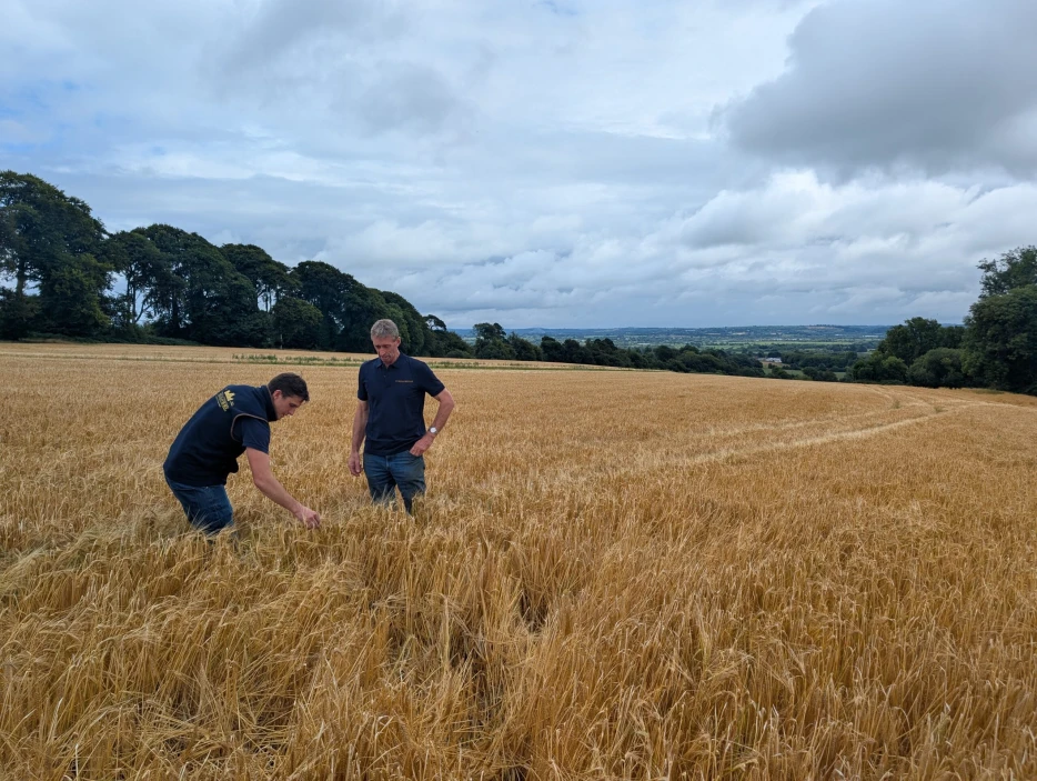 Listening to the land tells us that harvest is near