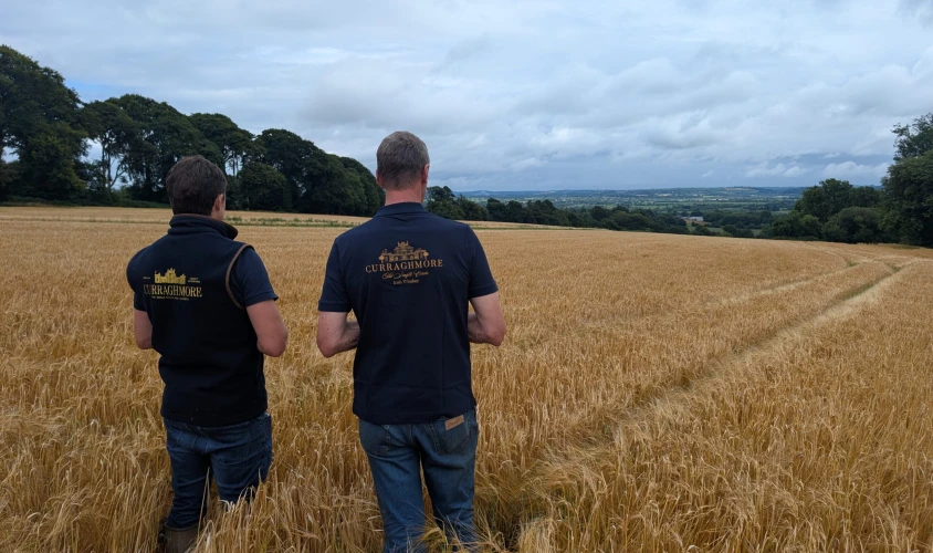 Listening to the land tells us that harvest is near