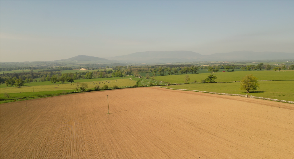 Legacy Cask Membership