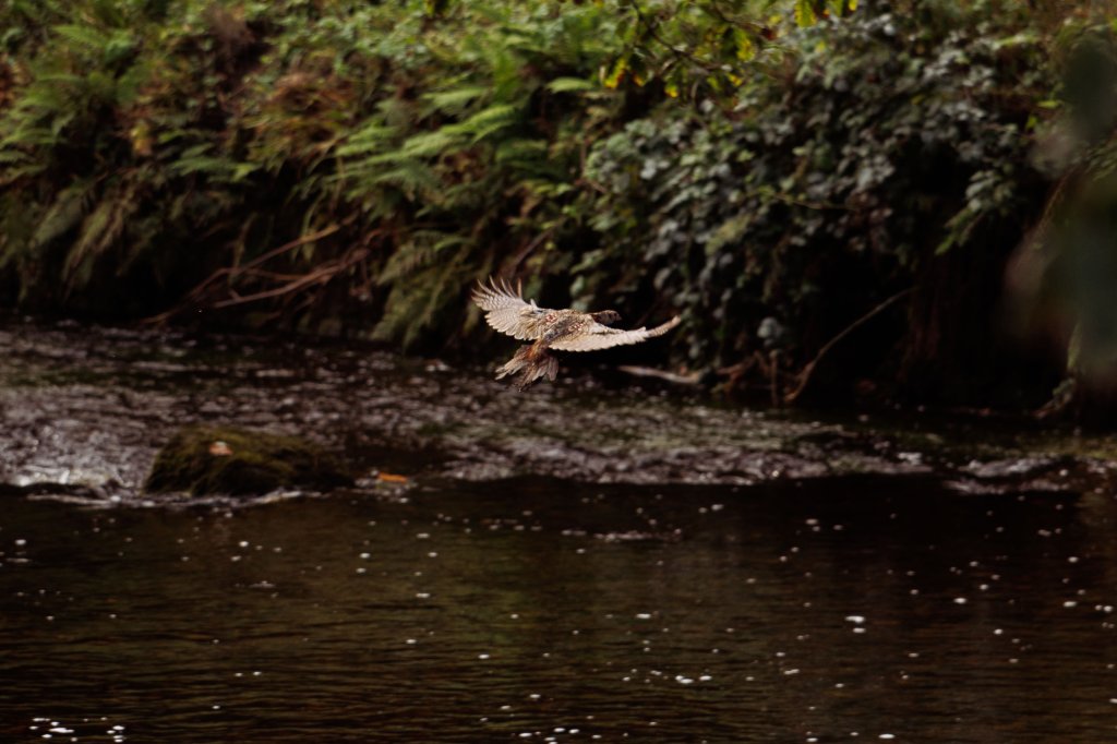 Legacy Cask Membership