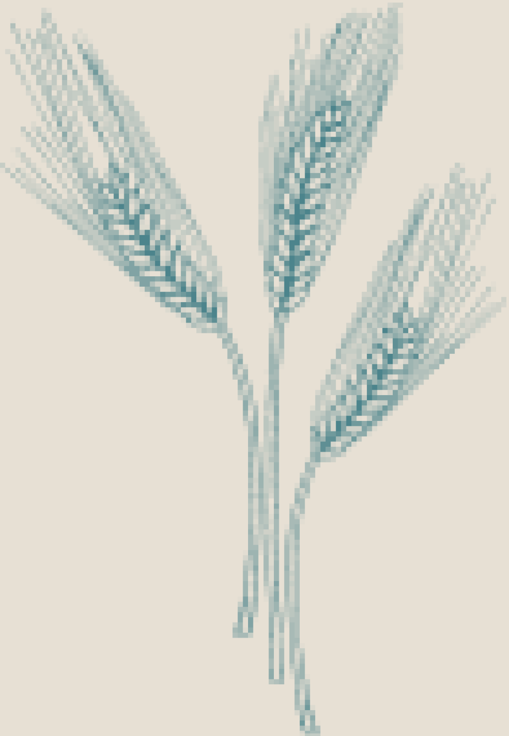 Honouring 800 years of
agricultural heritage