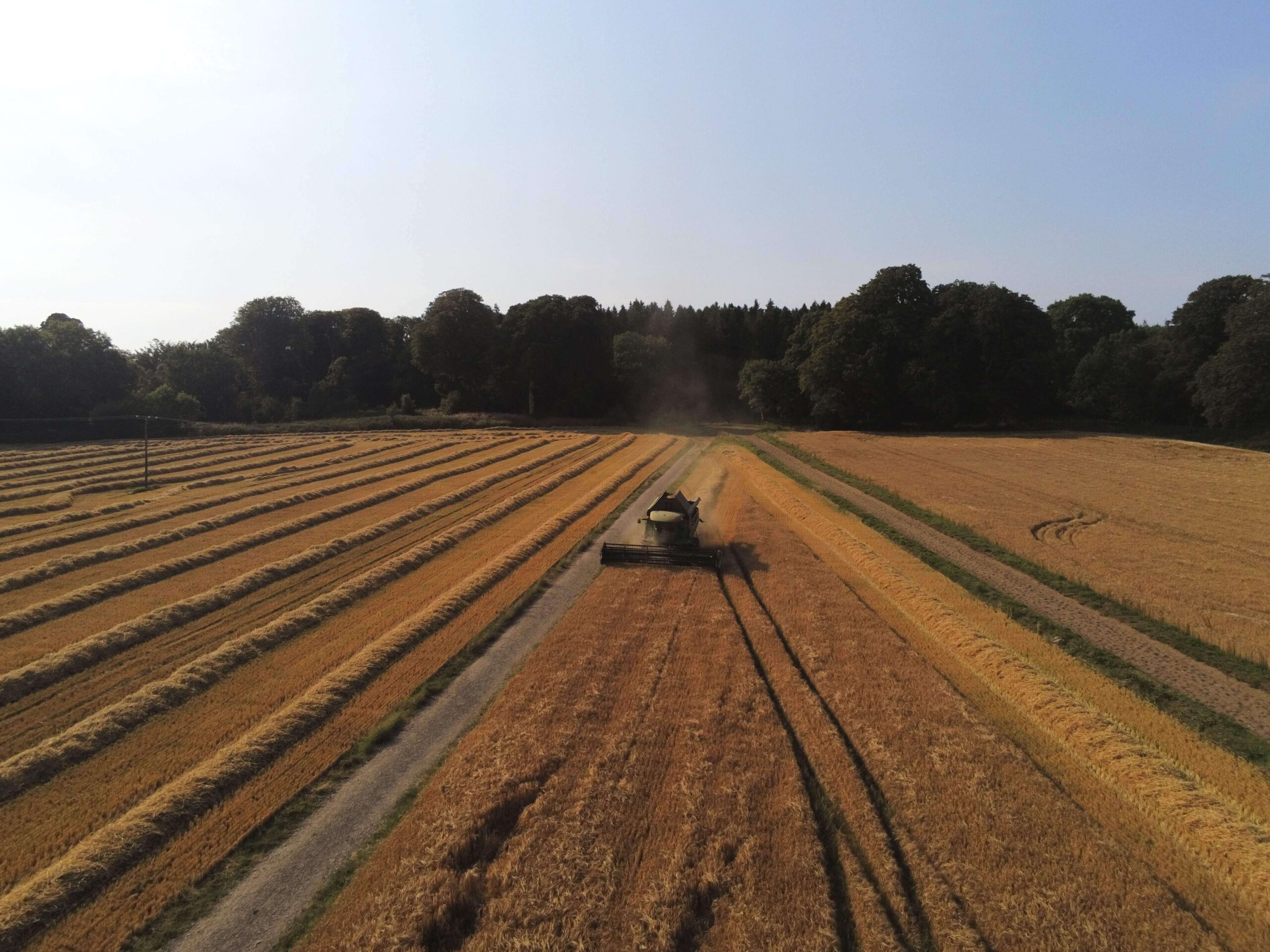 Malting Barley Harvest at Curraghmore Estate 2022